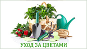 Уход за цветами