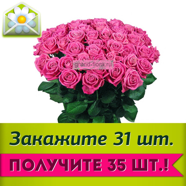 35 розовых роз