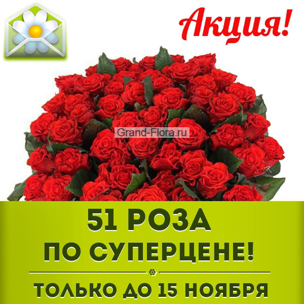 51 роза по Акции