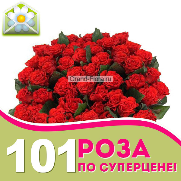 101 роза по Акции