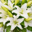 Букет из лилий 3
