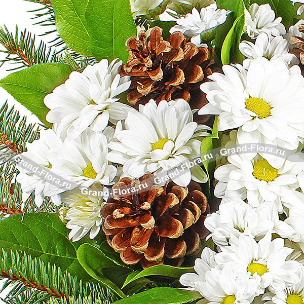 Сказки леса - новогодний букет из хризантемы и еловых веток
