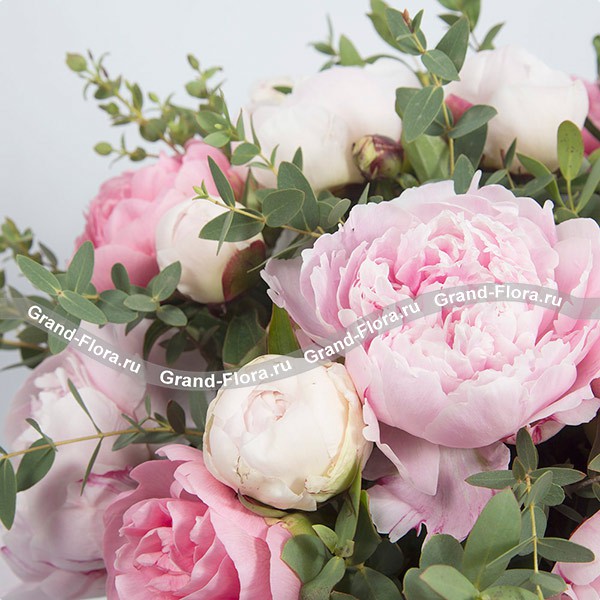 Цветочное искушение - коробка с розовыми и белыми пионами и зеленью