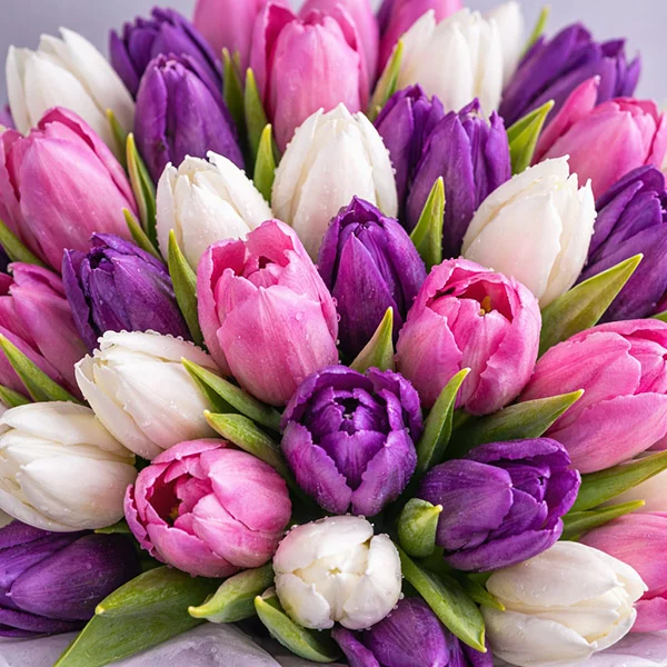  Сердце женщины - шляпная  коробка с разноцветными  тюльпанами