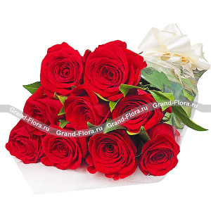 Букет красных роз (акционный букет, высота розы 40-50 см)
