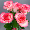 Букет из 5 розовых роз (60см)