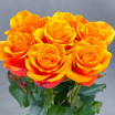 7 оранжевых роз (50-60см) 2