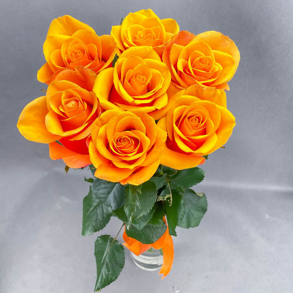 7 оранжевых роз (50-60см)