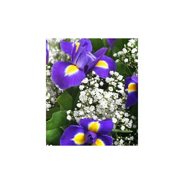 Лунная мелодия (Стандартный)