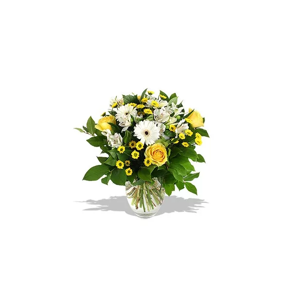 Улыбка солнца (Стандартный)