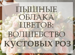 Пышные облака цветов: Волшебство Кустовых Роз