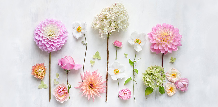 Какие Цветы Подарить на 8 Марта Девушке, а Какие Маме, Жене, Сестре, Дочке Коллеге?
