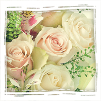 букеты белых роз