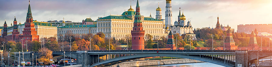 Букет роз в Вологде