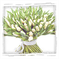 Белые тюльпаны с бесплатной доставкой
